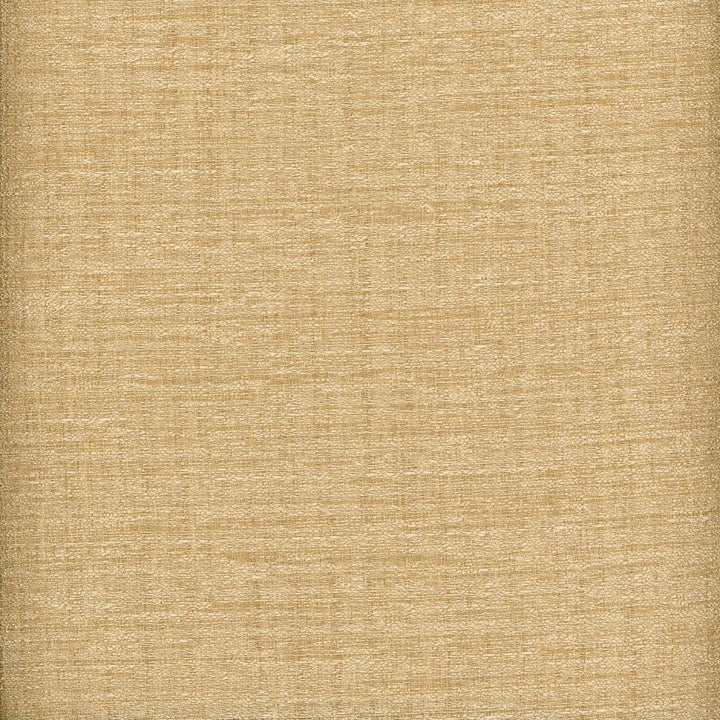 Raw Silk Crepe Sand by Heritage Designer Fabric - USA or Imported Horizontal: and Vertical: - Swanky Fabrics -