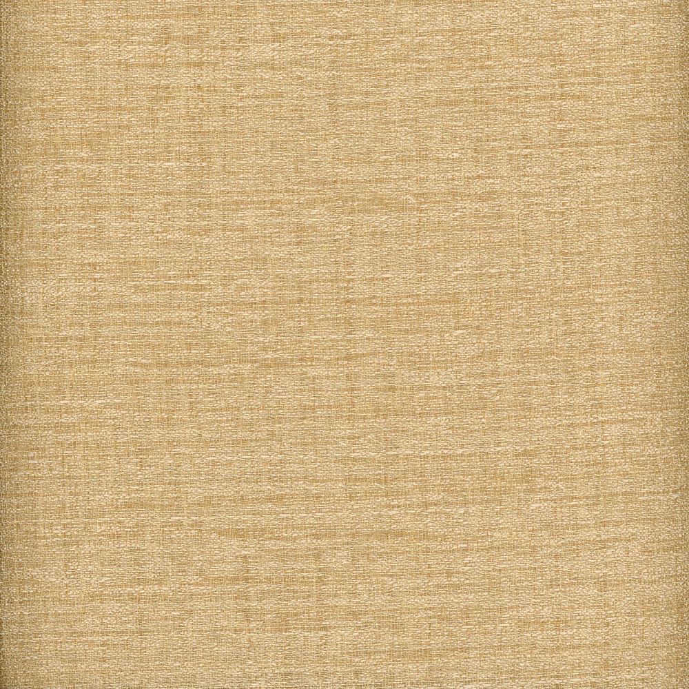 Raw Silk Crepe Sand by Heritage Fabric - USA or Imported Horizontal: and Vertical: - Fabric Carolina -