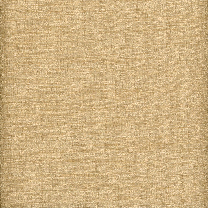 Raw Silk Crepe Sand by Heritage Fabric - USA or Imported Horizontal: and Vertical: - Fabric Carolina -