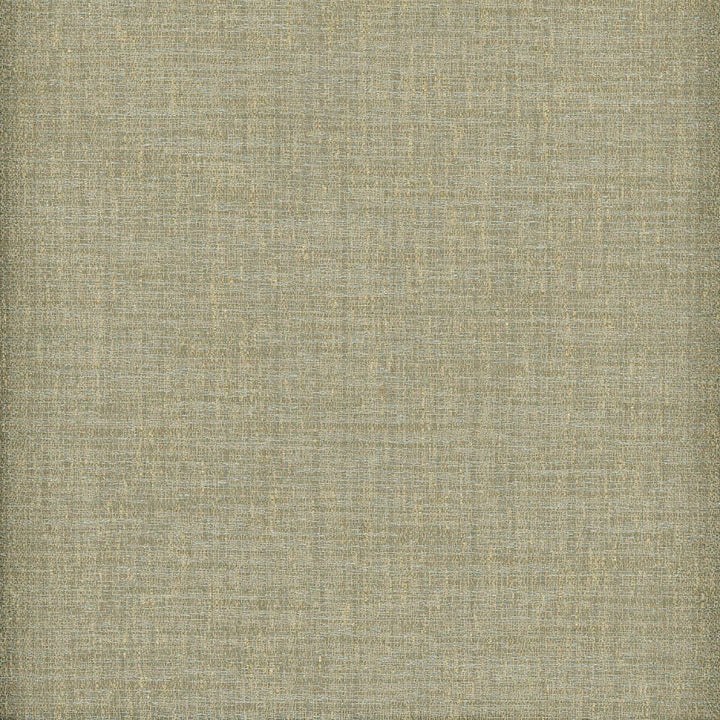 Raw Silk Crepe Water by Heritage Fabric - USA or Imported Horizontal: and Vertical: - Fabric Carolina -