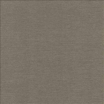 Kasmir Fabric Rouen Slate