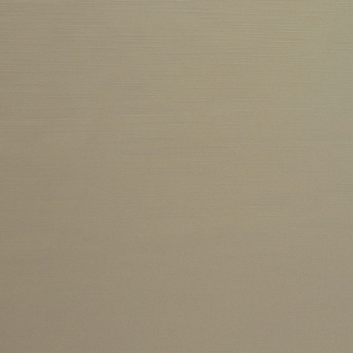 Royal Slub Vanilla by Europatex Designer Fabric Royal Slub 100% Polyester India 30,000 Double Rubs Horizontal: N/A and Vertical: N/A 55" - Swanky Fabrics -