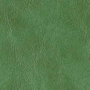 Morbern Fabric Royal Hampton Fern