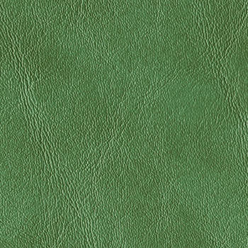 Royal Hampton Fern HO-39 by Morbern Designer Fabric See sample 100% Vinyl USA or Imported Water-based cleaning agents and foam may be used for cleaning. Cleaning by a professional cleaning service is recommended.  54  - Swanky Fabrics -