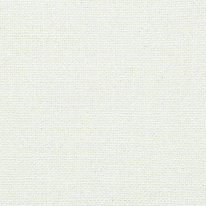 S1003 Chalk by Greenhouse Designer Fabric 75% Rayon, 15% Linen, 10% Cotton China 51,000 </p><p>Repeat: None 54" - Swanky Fabrics -