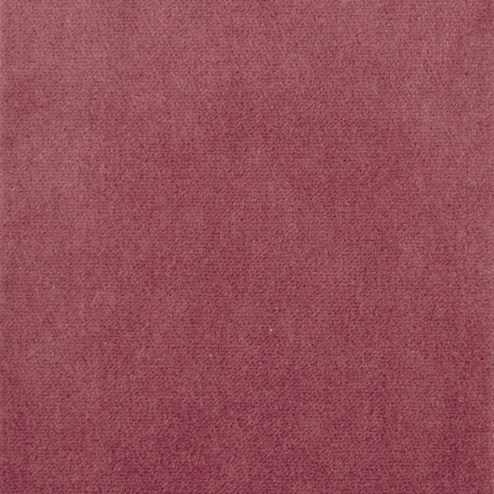 S1062 Berry by Greenhouse Designer Fabric 75% Polyester, 25% Cotton China 201,000 double rubs </p><p>Repeat: None 54" - Swanky Fabrics -