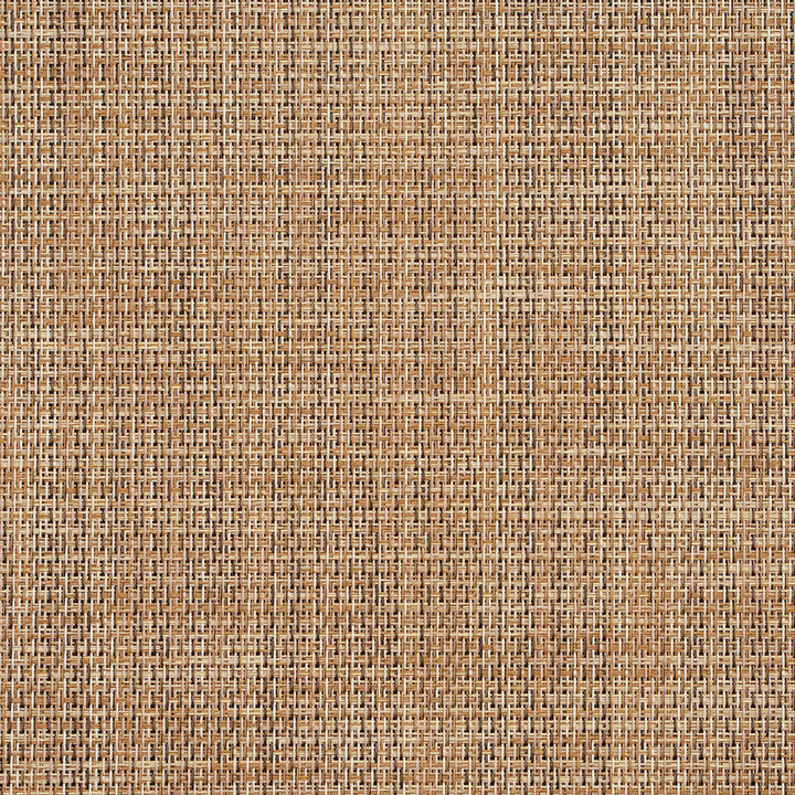 S111 Sand by Charlotte Designer Fabric Outdoor Sling 100% Coated Polyester Made In USA Exceeds 100,000 Wyzenbeek Rubs (Heavy Duty) No Repeat 54 Inches - Swanky Fabrics -