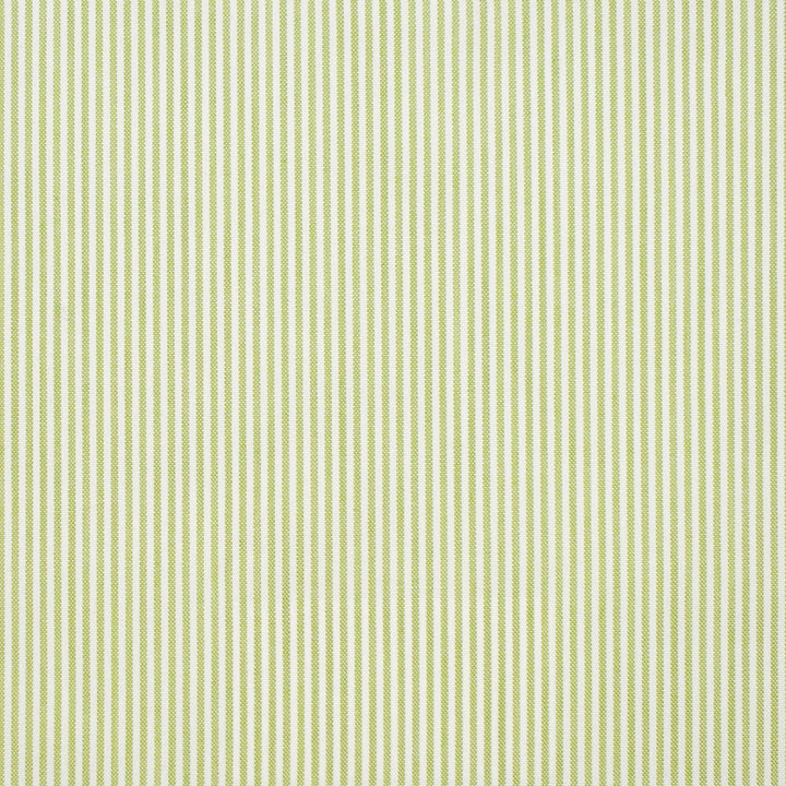 S1238 Leaf by Greenhouse Designer Fabric 100% Polyester 
 2,000 Light Hours TAIWAN 427,500 </p><p>Repeat: .125" H 54" - Swanky Fabrics -