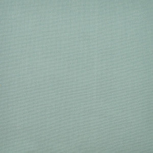 Greenhouse Fabric S1253 Haze
