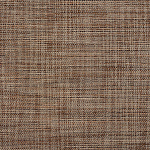 Charlotte Fabric S126 Brindle