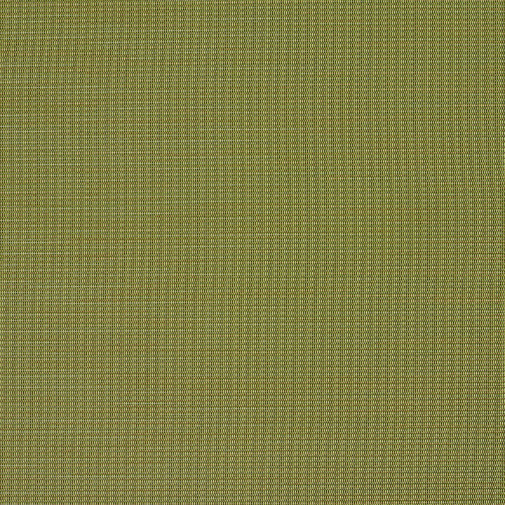 S134 Spring by Charlotte Designer Fabric Outdoor Sling 100% Coated Polyester Made In USA Exceeds 100,000 Wyzenbeek Rubs (Heavy Duty) No Repeat 54 Inches - Swanky Fabrics -