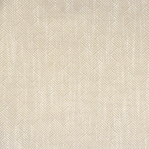 Greenhouse Fabric S2127 Seasalt