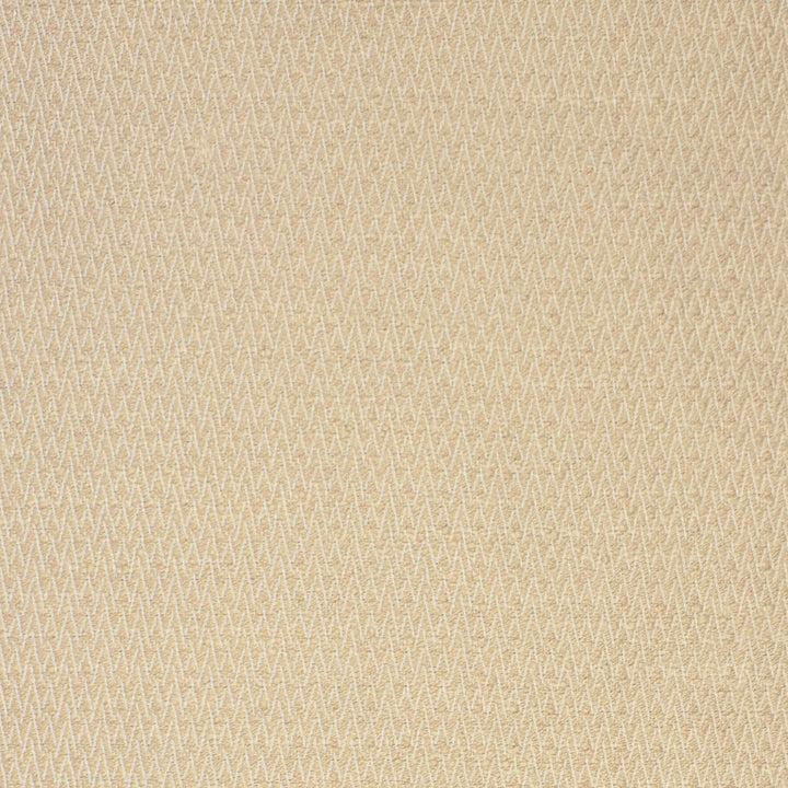 S2133 Dune by Greenhouse Designer Fabric S23: InsideOut White 100% Polyester (Uv) USA 63,000 double rubs </p><p>Repeat: .375" H, .375" V 56" - Swanky Fabrics -