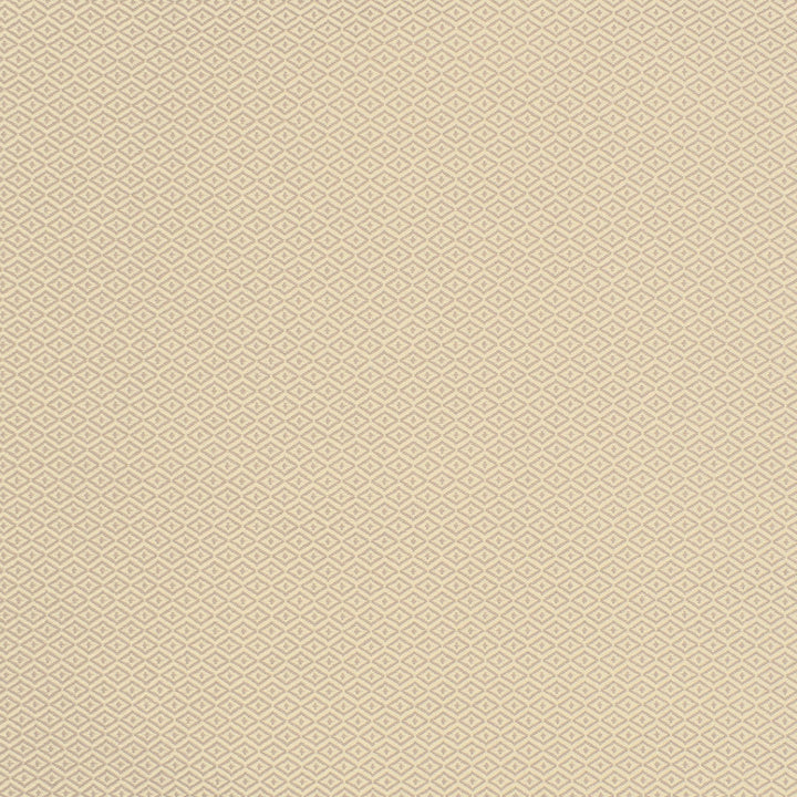 S2139 Chai by Greenhouse Designer Fabric S23: InsideOut White 100% Polyester (Uv) USA 60,000 double rubs </p><p>Repeat: .344" H, .406" V 55" - Swanky Fabrics -