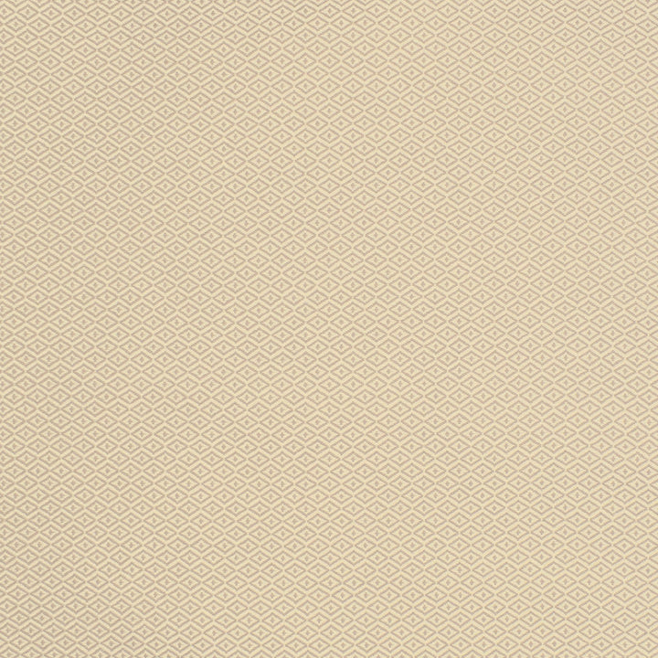 S2139 Chai by Greenhouse Designer Fabric 100% Polyester (Uv) USA 60,000 </p><p>Repeat: .344" H, .406" V 55" - Swanky Fabrics -