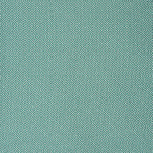 Greenhouse Fabric S2174 Surf