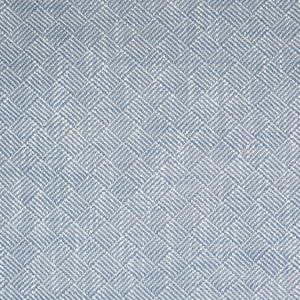 Greenhouse Fabric S2190 Voyage