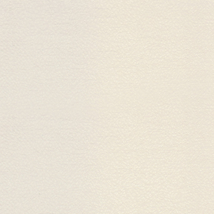 S2263 Cloud by Greenhouse Designer Fabric S26: Crypton Home Neutrals 73.68% Rayon, 26.32% Polyester USA 51,000 double rubs Crypton </p><p>Repeat: .063" H, .063" V 56" - Swanky Fabrics -