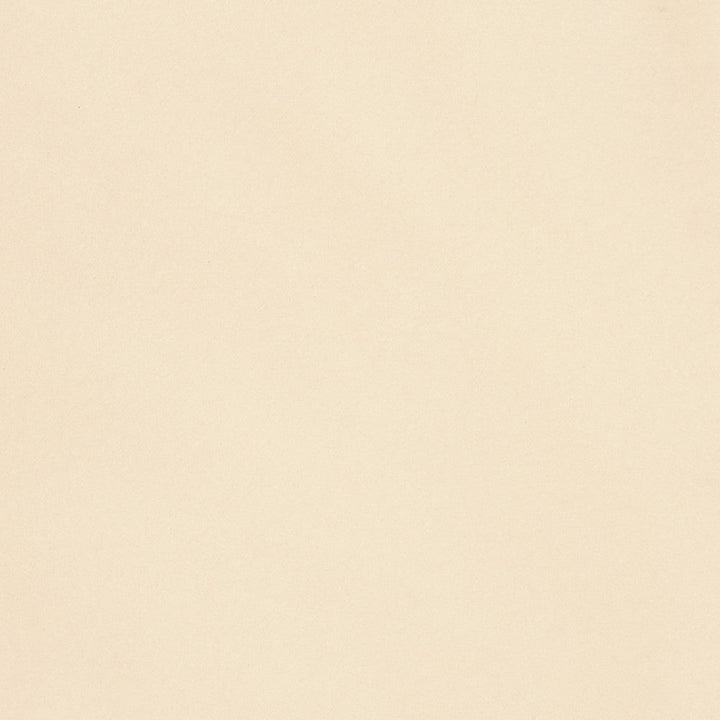S2266 Creme by Greenhouse Designer Fabric 100% Polyester India 50,000 </p><p>Repeat: None 54" - Swanky Fabrics -