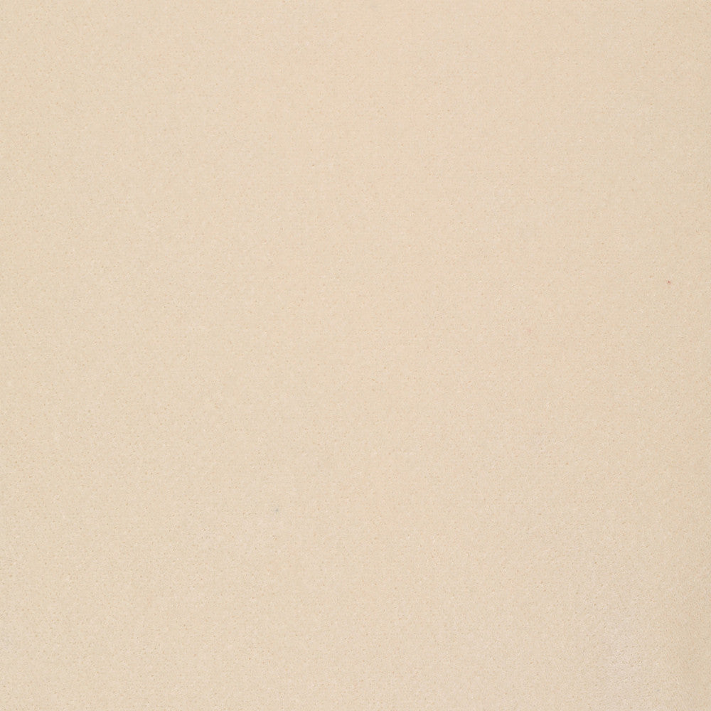 S2271 Natural by Greenhouse Designer Fabric 100% Polyester India 50,000 </p><p>Repeat: None 54" - Swanky Fabrics -