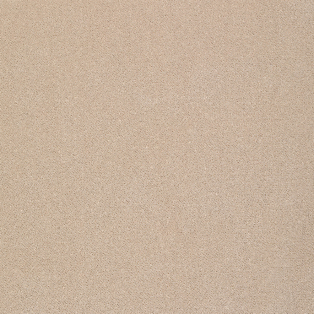 S2293 Flax by Greenhouse Designer Fabric S61: Crypton Velvet 100% Polyester India 50,000 double rubs Soil Resistant </p><p>Repeat: None 54" - Swanky Fabrics -