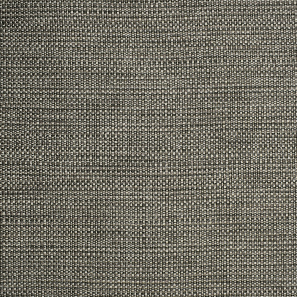 S2303 Chrome by Greenhouse Designer Fabric 57.56% Polyester, 21.95% Cotton, 20.07% Rayon, .42% Nylon USA 45,000 </p><p>Repeat: .188" H, .05" V 55" - Swanky Fabrics -