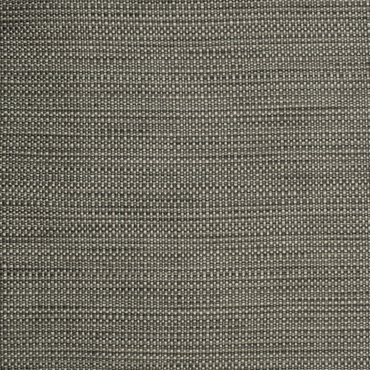 S2303 Chrome by Greenhouse Designer Fabric 57.56% Polyester, 21.95% Cotton, 20.07% Rayon, .42% Nylon USA 45,000 </p><p>Repeat: .188" H, .05" V 55" - Swanky Fabrics -