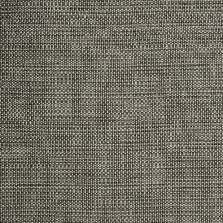 S2303 Chrome by Greenhouse Designer Fabric S26: Crypton Home Neutrals 57.56% Polyester, 21.95% Cotton, 20.07% Rayon, .42% Nylon USA 45,000 double rubs Crypton </p><p>Repeat: .188" H, .05" V 55" - Swanky Fabrics -