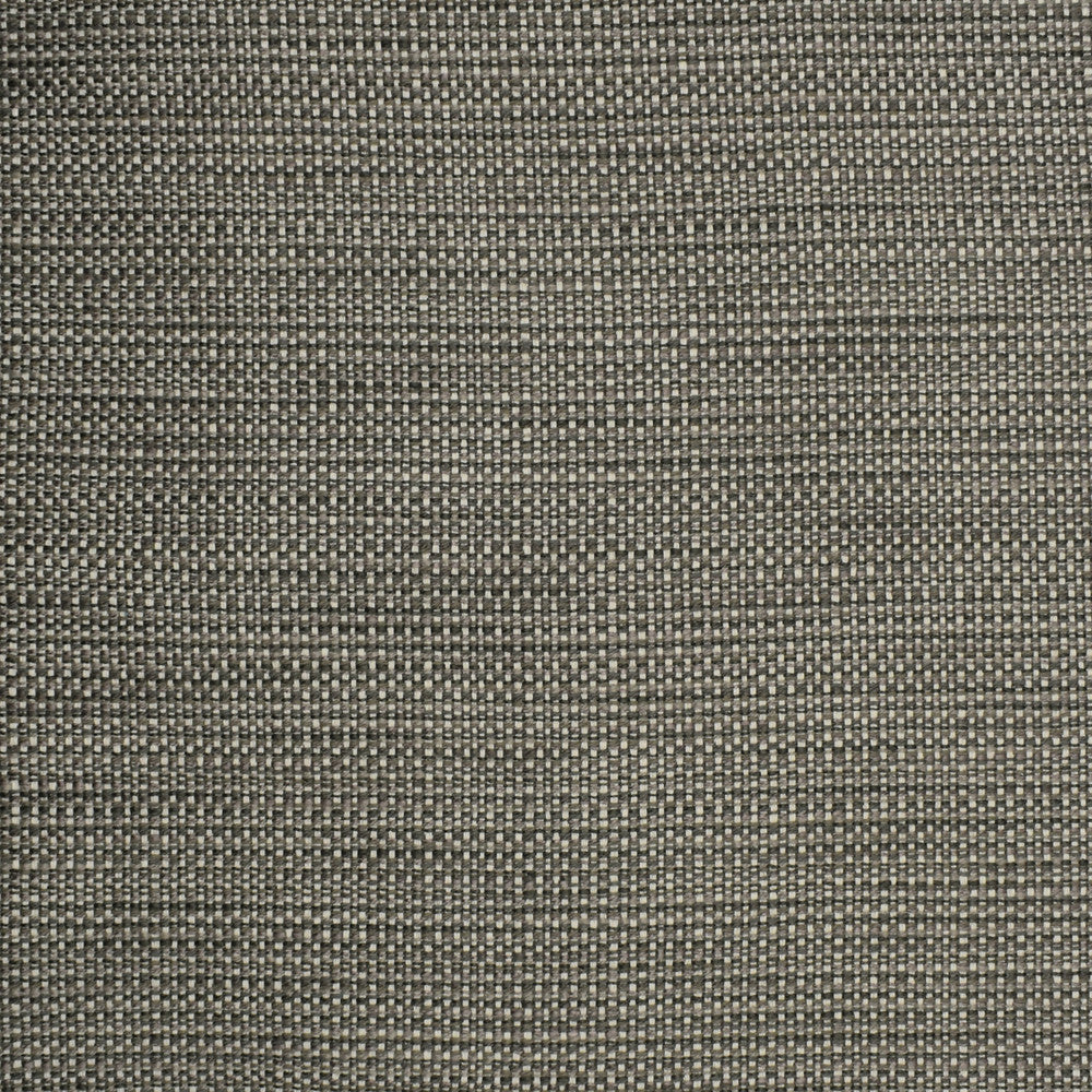 S2303 Chrome by Greenhouse Designer Fabric 57.56% Polyester, 21.95% Cotton, 20.07% Rayon, .42% Nylon USA 45,000 double rubs </p><p>Repeat: .188" H, .05" V 55" - Swanky Fabrics -