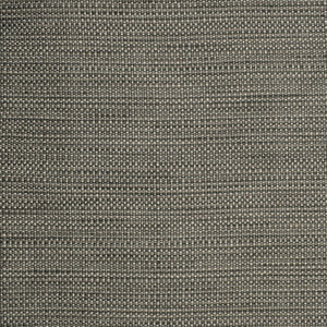 Greenhouse Fabric S2303 Chrome