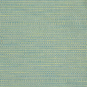Greenhouse Fabric S2347 Lagoon