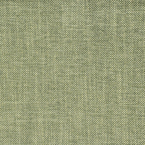 Greenhouse Fabric S2354 Eucalyptus