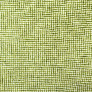 Greenhouse Fabric S2408 Lime