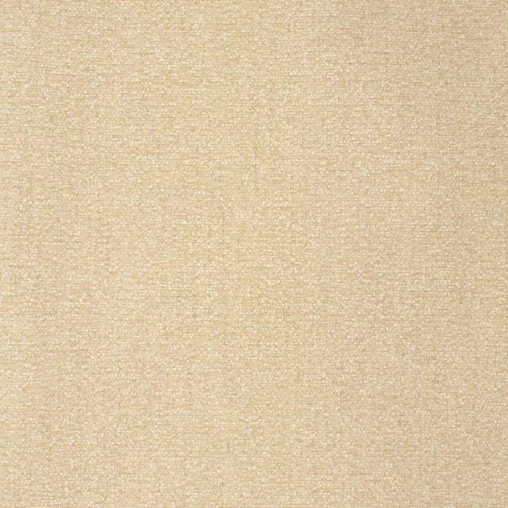 S2803 Snow by Greenhouse Designer Fabric 100% Polyester China 100,000 double rubs </p><p>Repeat: None 54" - Swanky Fabrics -