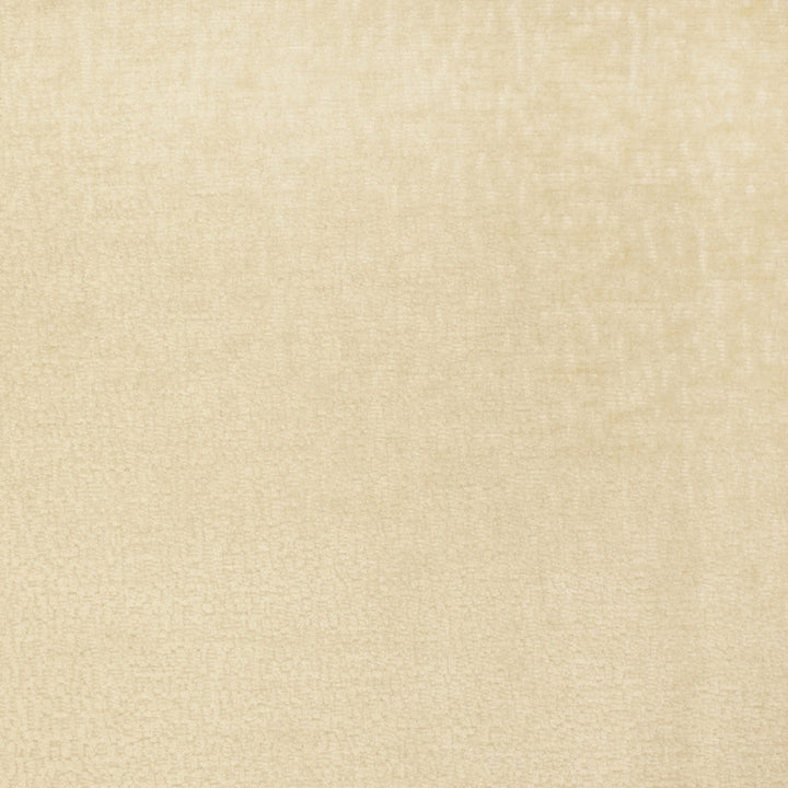S2805 Custard by Greenhouse Designer Fabric 100% Polyester China 50,000 </p><p>Repeat: None 54" - Swanky Fabrics -