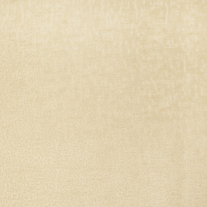S2805 Custard by Greenhouse Designer Fabric 100% Polyester China 50,000 double rubs </p><p>Repeat: None 54" - Swanky Fabrics -
