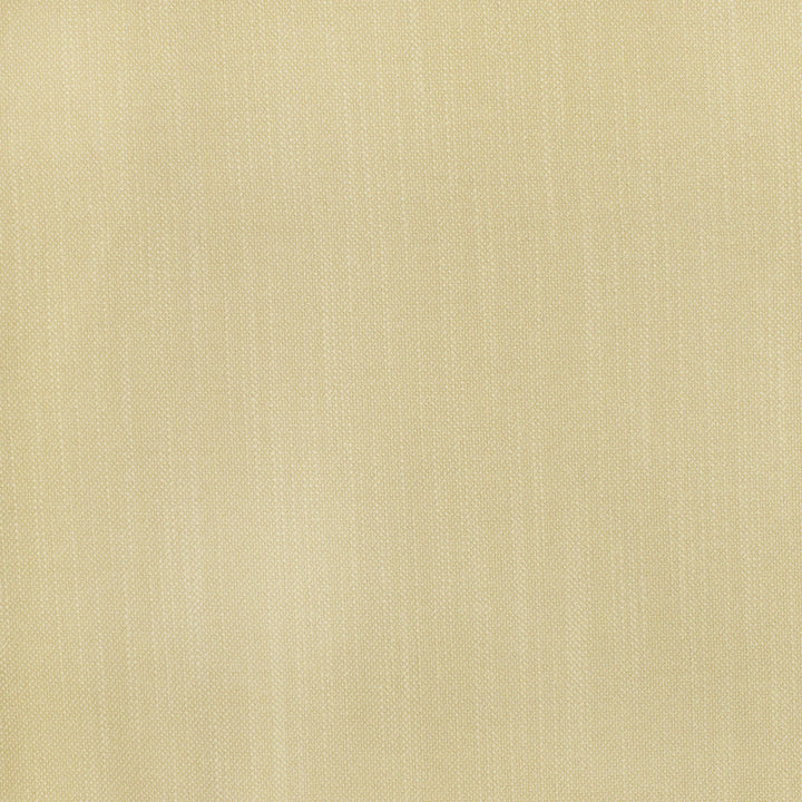 S2806 Parchment by Greenhouse Designer Fabric 100% Polyester China 100,000 double rubs </p><p>Repeat: None 54" - Swanky Fabrics -
