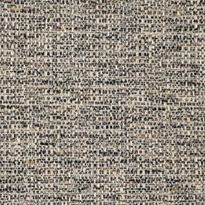 Greenhouse Fabric S2814 Charcoal