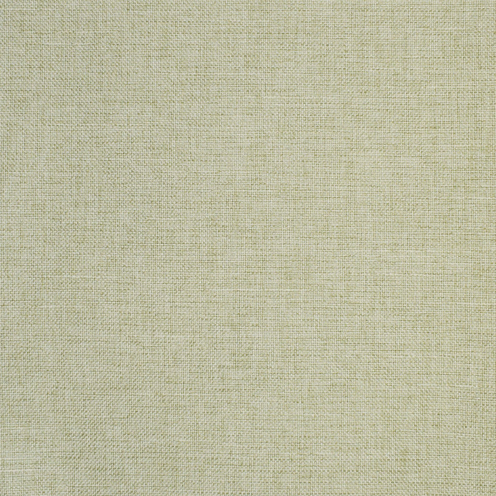 S2864 Celery by Greenhouse Designer Fabric 100% Polyester China 51,000 double rubs </p><p>Repeat: None 55" - Swanky Fabrics -