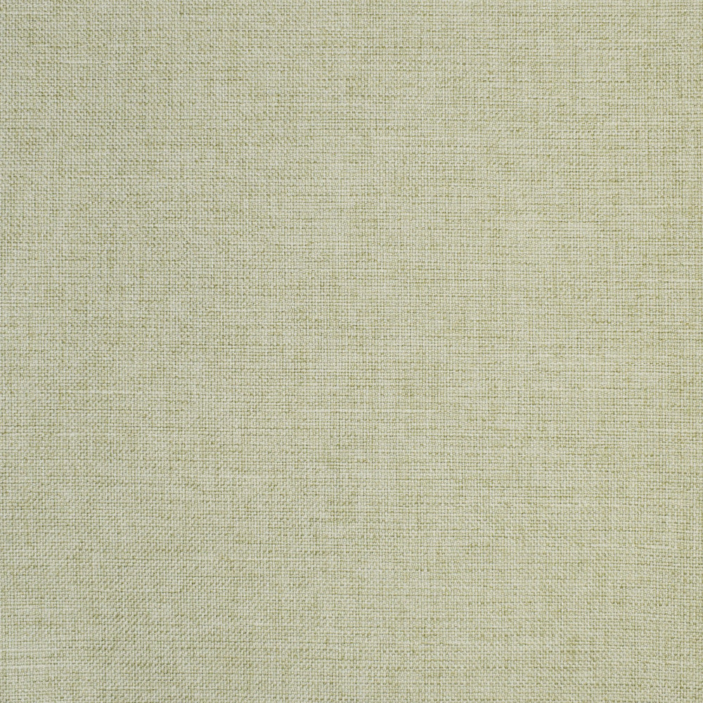S2864 Celery by Greenhouse Designer Fabric 100% Polyester CHINA 51,000 </p><p>Repeat: None 55" - Swanky Fabrics -