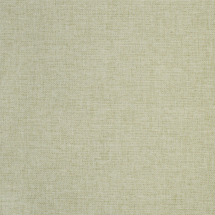 S2864 Celery by Greenhouse Designer Fabric 100% Polyester CHINA 51,000 </p><p>Repeat: None 55" - Swanky Fabrics -
