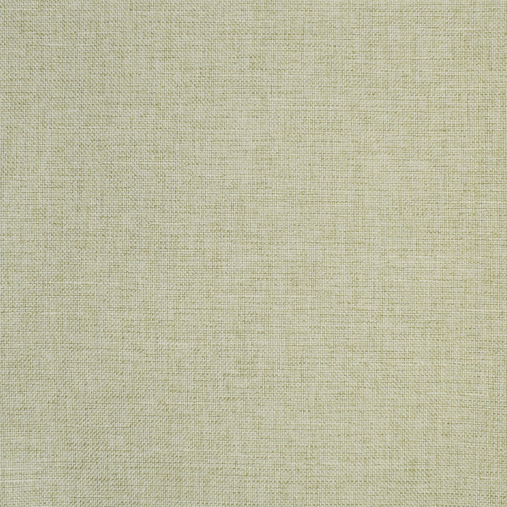 S2864 Celery by Greenhouse Designer Fabric S38: Capri Colors 100% Polyester China 51,000 double rubs </p><p>Repeat: None 55" - Swanky Fabrics -
