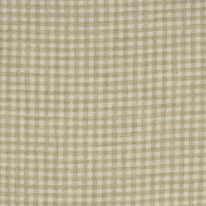 S2918 Beach by Greenhouse Designer Fabric 100% Polyester India 100,000 double rubs </p><p>Repeat: None 54" - Swanky Fabrics -