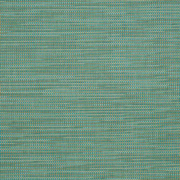 S303 Capri by Charlotte Designer Fabric Sling II 100% Coated Polyester USA </p><p>Repeat: 54 Inches - Swanky Fabrics -