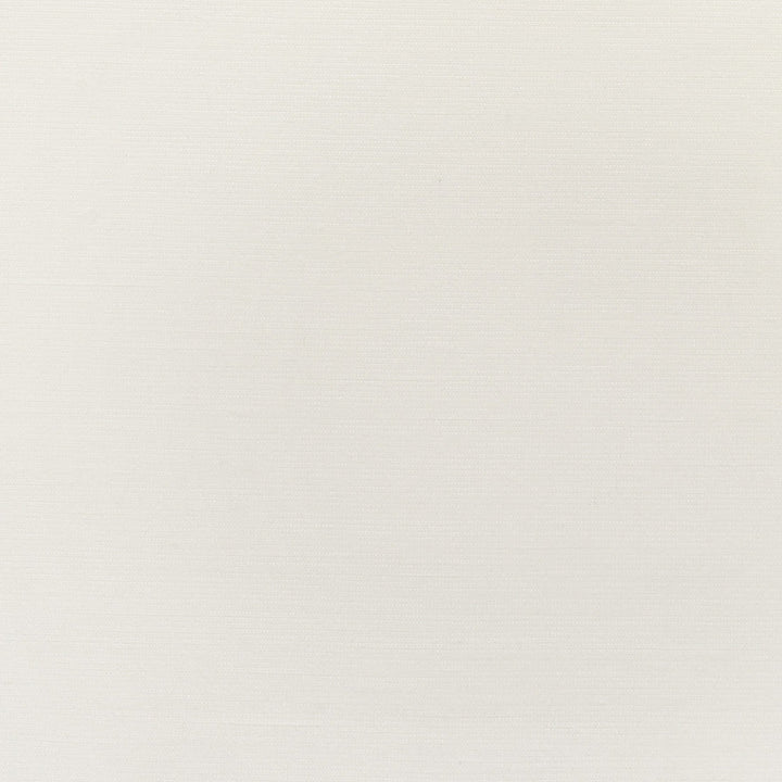 S3066 Off White by Greenhouse Designer Fabric 86% Polyester, 14% Cotton India 51,000 </p><p>Repeat: None 54" - Swanky Fabrics -