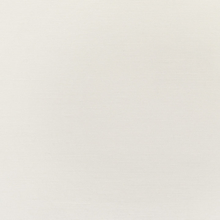 S3066 Off White by Greenhouse Designer Fabric 86% Polyester, 14% Cotton India 51,000 double rubs </p><p>Repeat: None 54" - Swanky Fabrics -