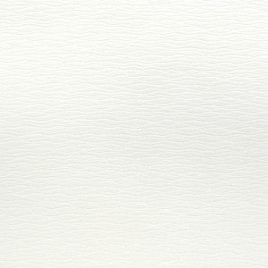 Greenhouse Fabric S3212 White
