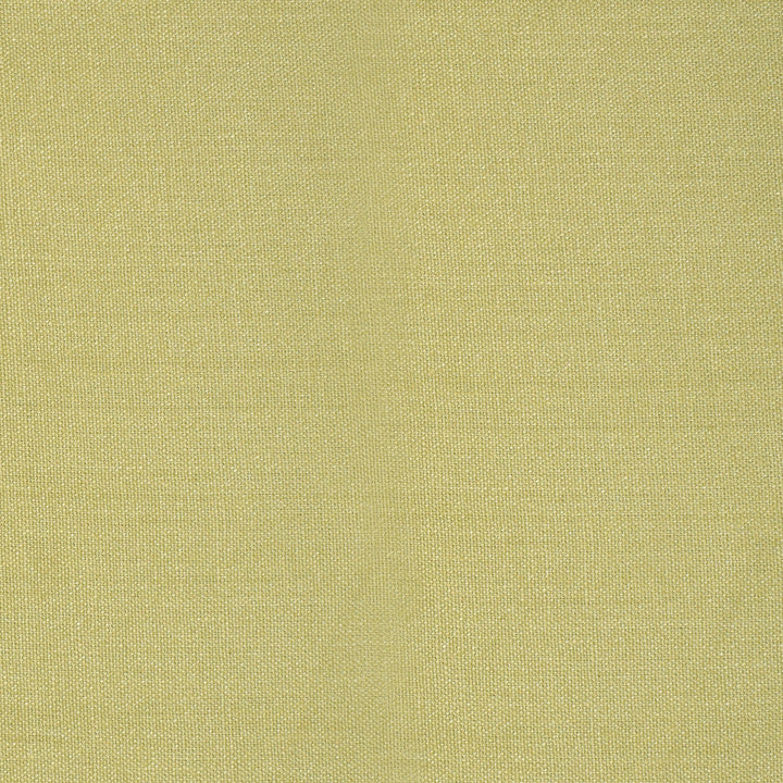 S3296 Celedonia by Greenhouse Designer Fabric 100% Linen China 21,000 double rubs </p><p>Repeat: None 55" - Swanky Fabrics -