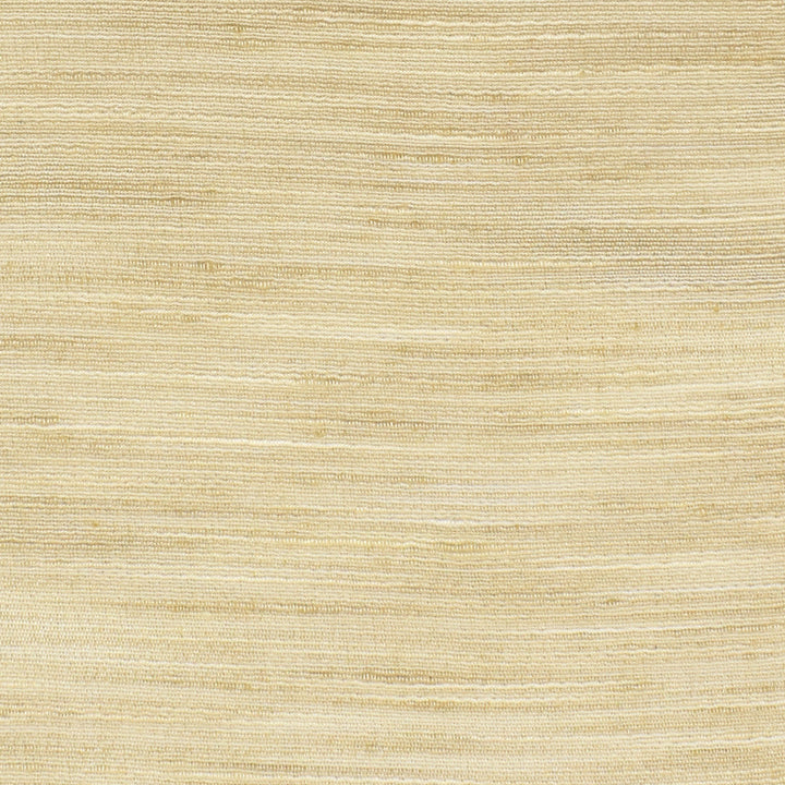 S3352 Sea Salt by Greenhouse Designer Fabric 100% Polyester India Drapery double rubs </p><p>Repeat: None 54" - Swanky Fabrics -