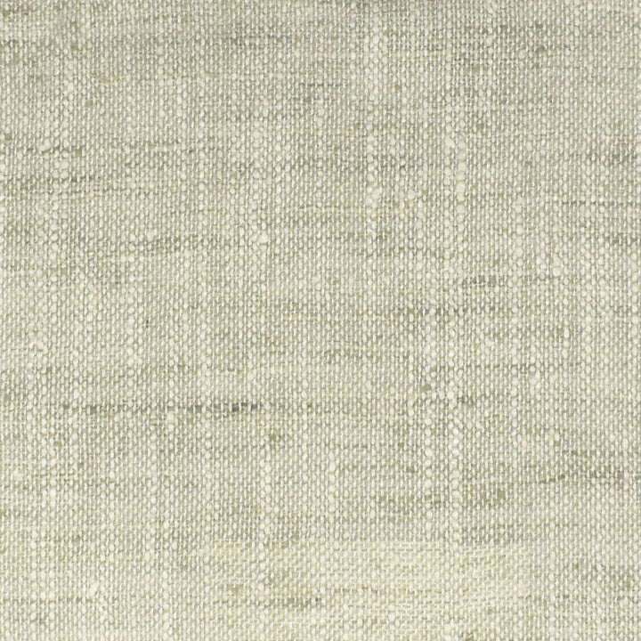 S3395 Foam by Greenhouse Designer Fabric 100% Polyester INDIA Drapery </p><p>Repeat: None 54" - Swanky Fabrics -
